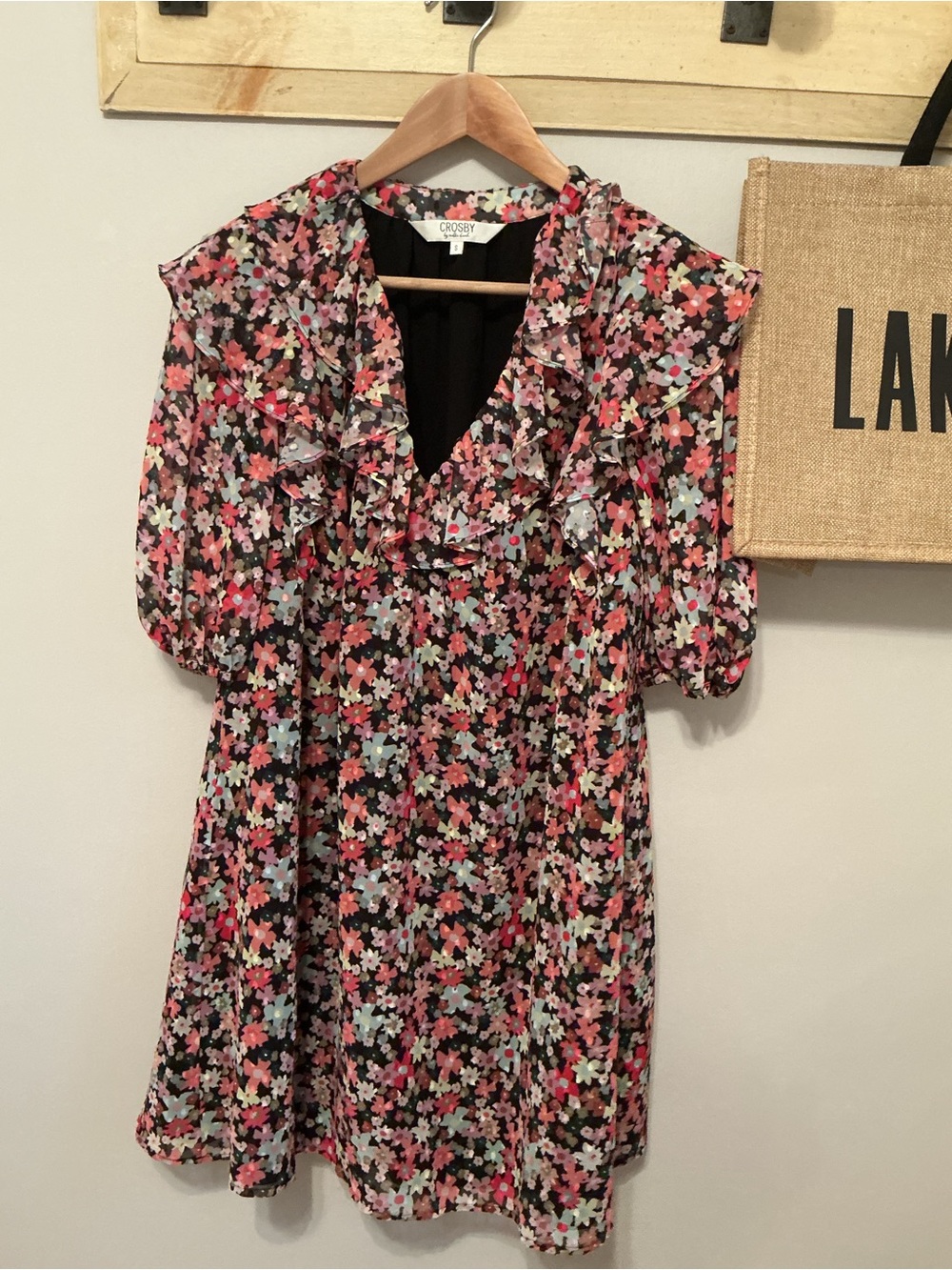 CROSBY by Mollie Burch Presley Dress, Small, Floral Chiffon Ruffle V-neck Lined